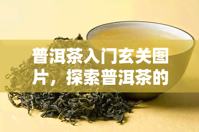 普洱茶入门玄关图片，探索普洱茶的世界：入门玄关图片欣