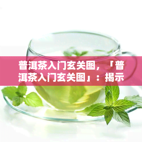 普洱茶入门玄关图，「普洱茶入门玄关图」：揭示普洱茶的魅力与品尝技巧