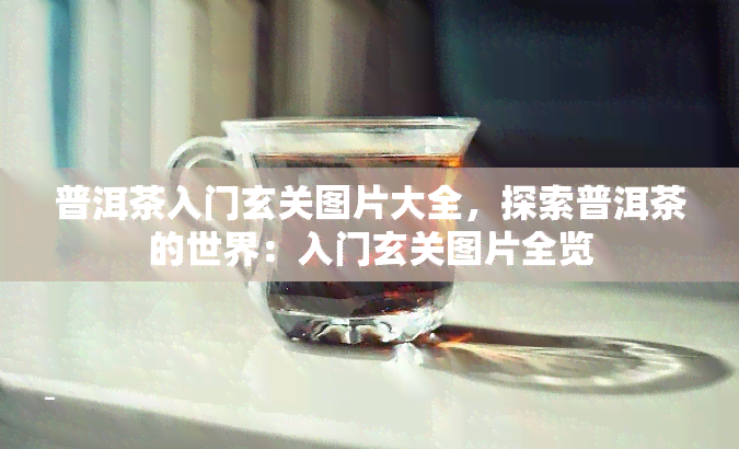 普洱茶入门玄关图片大全，探索普洱茶的世界：入门玄关图片全览