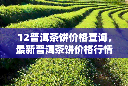 12普洱茶饼价格查询，最新普洱茶饼价格行情：12普洱茶饼多少钱一饼？