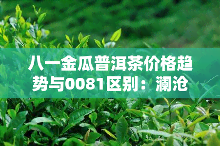 八一金瓜普洱茶价格趋势与0081区别：澜沧古茶的八一金瓜熟茶评价及市场行情