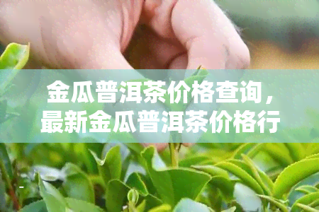 金瓜普洱茶价格查询，最新金瓜普洱茶价格行情，一文带你了解市场动态！