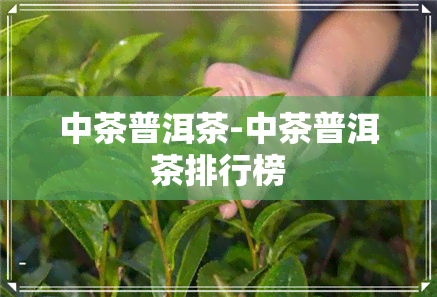 中茶普洱茶-中茶普洱茶排行榜