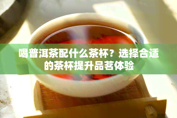 喝普洱茶配什么茶杯？选择合适的茶杯提升品茗体验