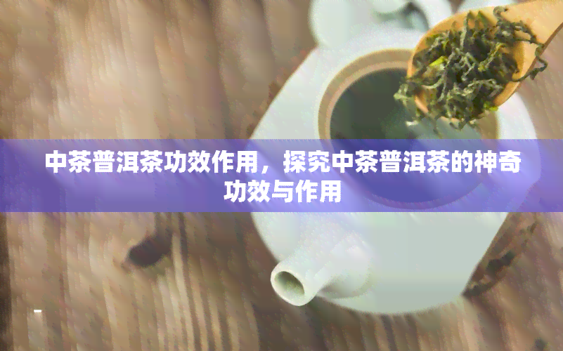 中茶普洱茶功效作用，探究中茶普洱茶的神奇功效与作用