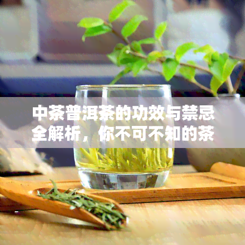 中茶普洱茶的功效与禁忌全解析，你不可不知的茶叶知识！