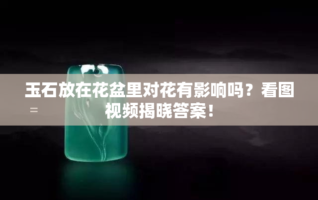 玉石放在花盆里对花有影响吗？看图视频揭晓答案！