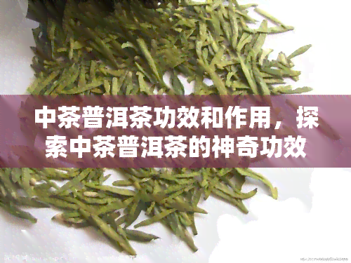 中茶普洱茶功效和作用，探索中茶普洱茶的神奇功效与作用