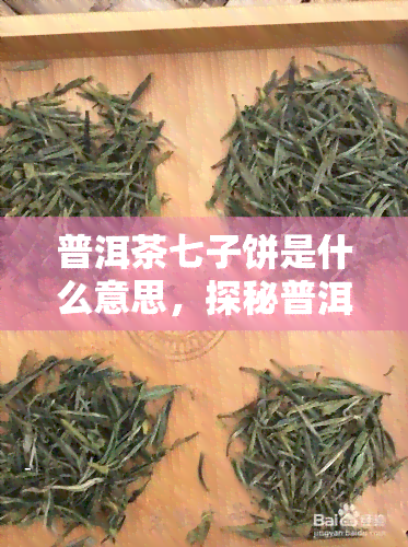 普洱茶七子饼是什么意思，探秘普洱茶文化：了解七子饼的含义与由来