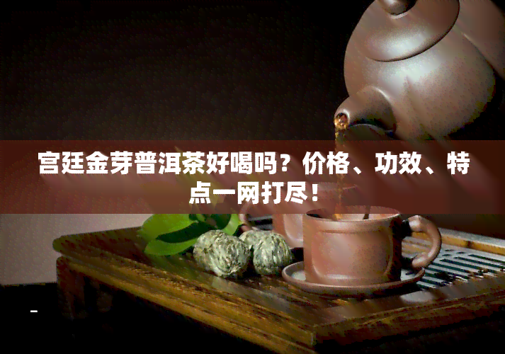 宫廷金芽普洱茶好喝吗？价格、功效、特点一网打尽！