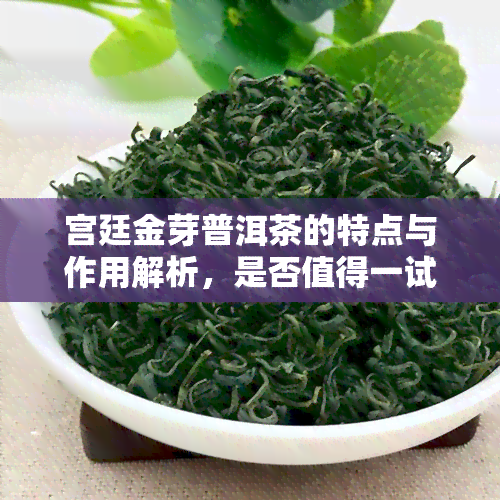 宫廷金芽普洱茶的特点与作用解析，是否值得一试？