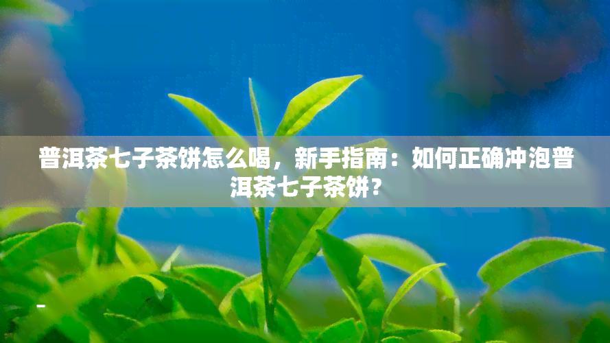 普洱茶七子茶饼怎么喝，新手指南：如何正确冲泡普洱茶七子茶饼？