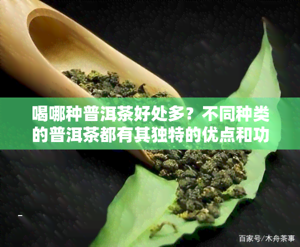 喝哪种普洱茶好处多？不同种类的普洱茶都有其独特的优点和功效，如何选择适合自己的普洱茶？让我们一起来探讨一下。