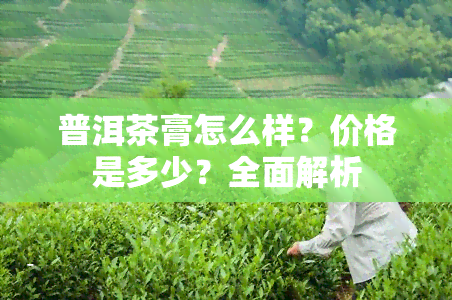 普洱茶膏怎么样？价格是多少？全面解析