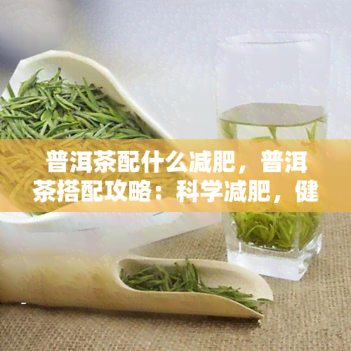 普洱茶配什么减肥，普洱茶搭配攻略：科学减肥，健生活