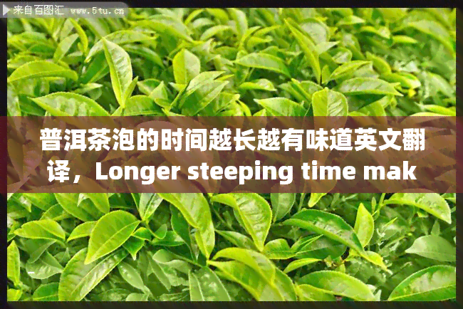 普洱茶泡的时间越长越有味道英文翻译，Longer steeping time makes Pu'er tea more flavorful