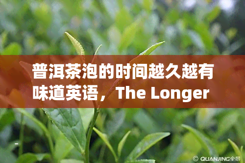 普洱茶泡的时间越久越有味道英语，The Longer You Brew Pu'er Tea, the Better Its Flavor