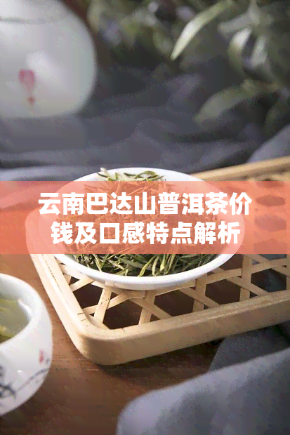 云南巴达山普洱茶价钱及口感特点解析