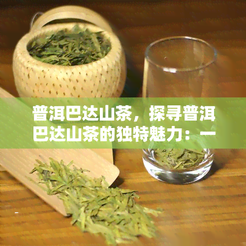 普洱巴达山茶，探寻普洱巴达山茶的独特魅力：一次味蕾的冒险之旅