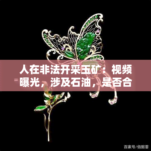 人在非法开采玉矿：视频曝光，涉及石油，是否合法引争议