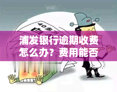 浦发银行逾期收费怎么办？费用能否撤销？逾期多久会被起诉？