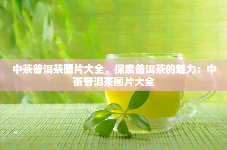 中茶普洱茶图片大全，探索普洱茶的魅力：中茶普洱茶图片大全