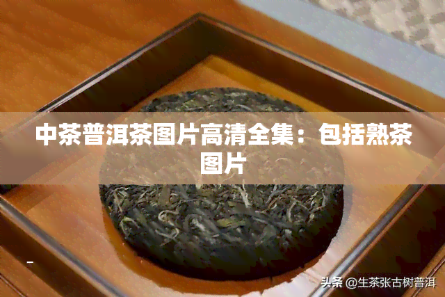 中茶普洱茶图片高清全集：包括熟茶图片