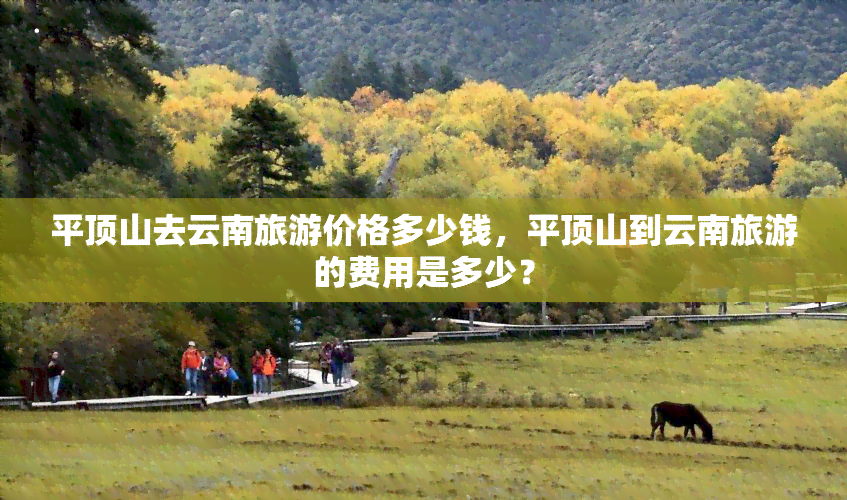 平顶山去云南旅游价格多少钱，平顶山到云南旅游的费用是多少？