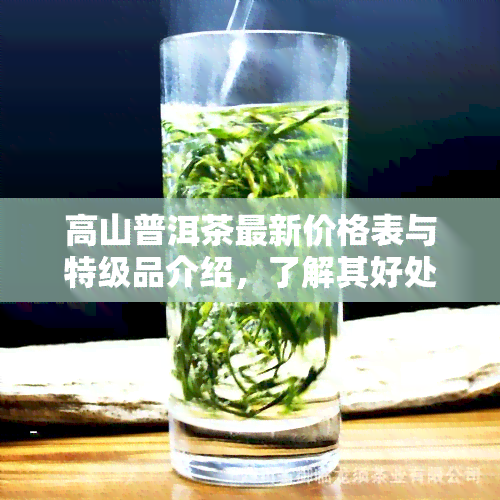 高山普洱茶最新价格表与特级品介绍，了解其好处及行情