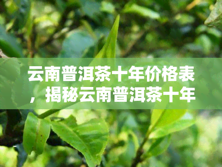 云南普洱茶十年价格表，揭秘云南普洱茶十年价格变化：一份详尽的价格表解析