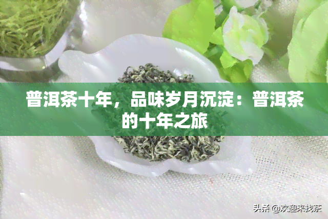 普洱茶十年，品味岁月沉淀：普洱茶的十年之旅