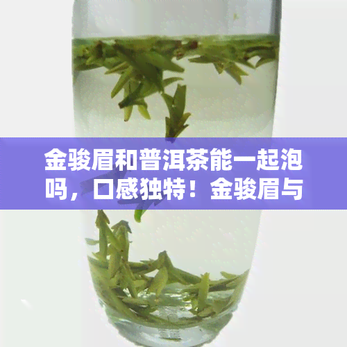 金骏眉和普洱茶能一起泡吗，口感独特！金骏眉与普洱茶能否混搭冲泡？