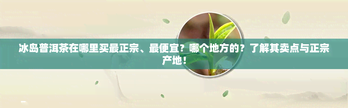 冰岛普洱茶在哪里买最正宗、更便宜？哪个地方的？了解其卖点与正宗产地！