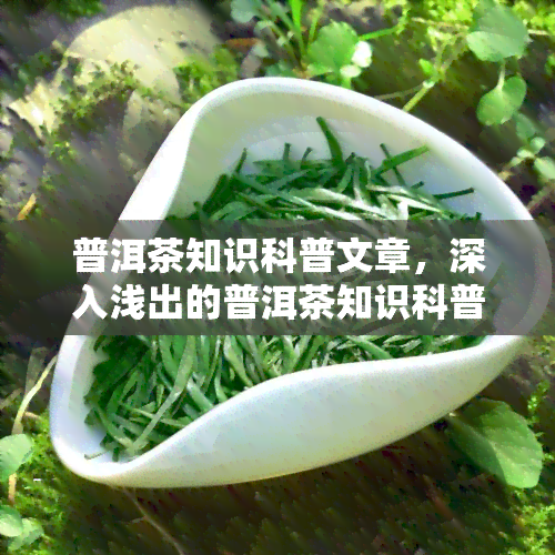 普洱茶知识科普文章，深入浅出的普洱茶知识科普，带你了解中国茶文化瑰宝