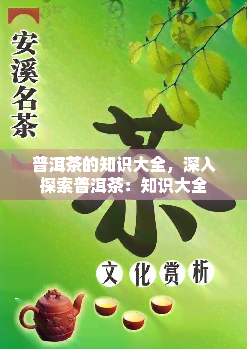 普洱茶的知识大全，深入探索普洱茶：知识大全