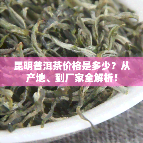 昆明普洱茶价格是多少？从产地、到厂家全解析！