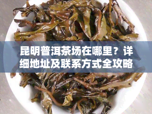 昆明普洱茶场在哪里？详细地址及联系方式全攻略！