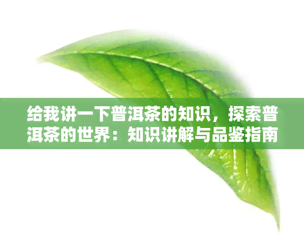 给我讲一下普洱茶的知识，探索普洱茶的世界：知识讲解与品鉴指南