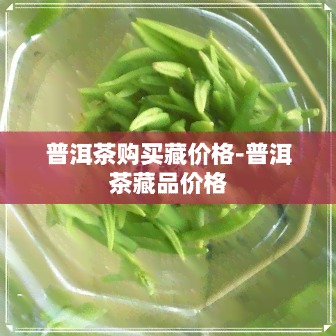 普洱茶购买藏价格-普洱茶藏品价格