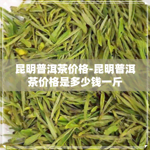 昆明普洱茶价格-昆明普洱茶价格是多少钱一斤