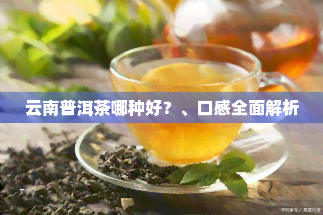 云南普洱茶哪种好？、口感全面解析