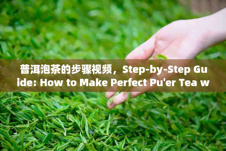 普洱泡茶的步骤视频，Step-by-Step Guide: How to Make Perfect Pu'er Tea with Our Video Tutorial