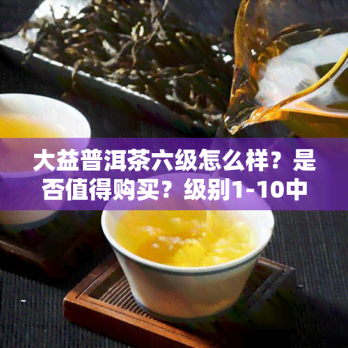 大益普洱茶六级怎么样？是否值得购买？级别1-10中哪一级？