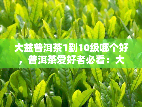 大益普洱茶1到10级哪个好，普洱茶爱好者必看：大益普洱茶1-10级，哪款更值得购买？