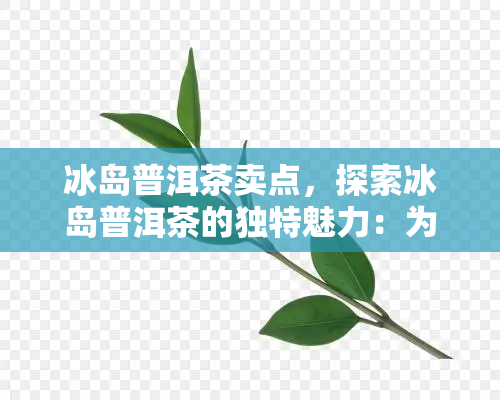 冰岛普洱茶卖点，探索冰岛普洱茶的独特魅力：为何它是茶叶市场的瑰宝？