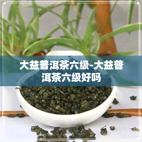 大益普洱茶六级-大益普洱茶六级好吗