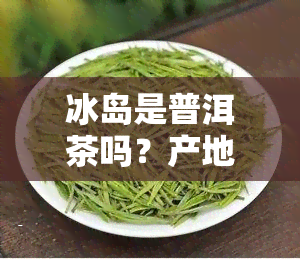 冰岛是普洱茶吗？产地、品种全解析