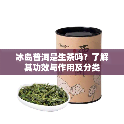 冰岛普洱是生茶吗？了解其功效与作用及分类