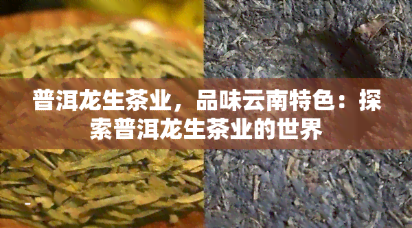 普洱龙生茶业，品味云南特色：探索普洱龙生茶业的世界