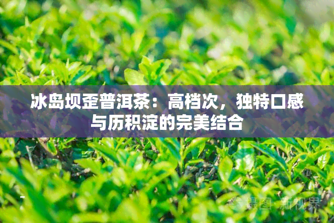 冰岛坝歪普洱茶：高档次，独特口感与历积淀的完美结合